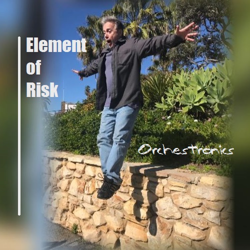 Element of Risk